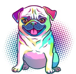 cão.jpg