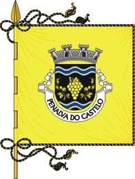Bandeira Penalva do castelo.jpg