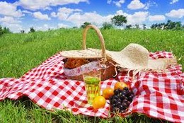 picnic.jpg