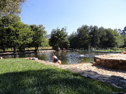 DSC06126.JPG
