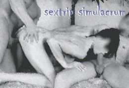 sextrip-ma3-001.jpg