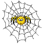 AF1SpiderwebHL
