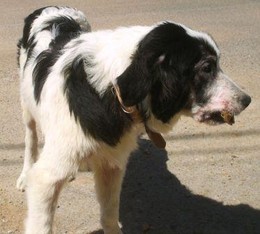 fb_qIwZlSGcW7dGGMGqg5UF