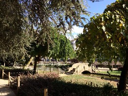 IMG_1768.JPG