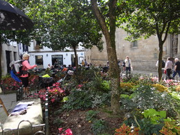 DSC00800.JPG