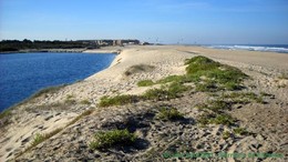 2011-10-08ObsCosteira (1) copy.jpg