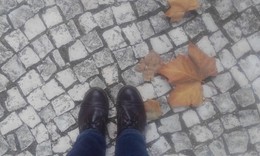 docs.JPG