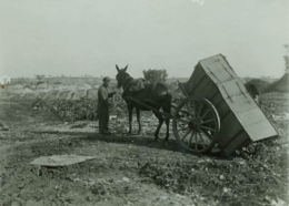 descarga de lixo de lisboa arquivo muniicpal lisbo
