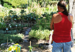 Horta Urbana em Lisboa - AMI - Age, Muda, Integra