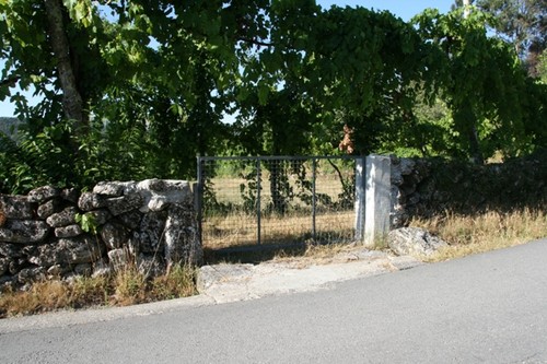 Pinheiro