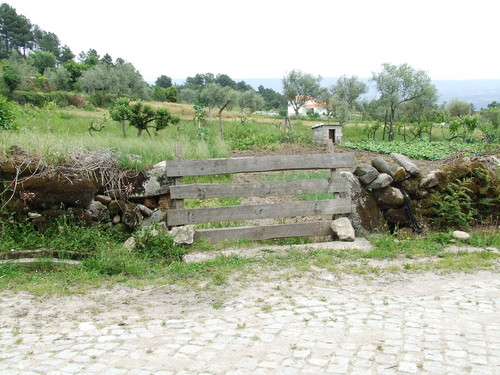 Pastoria