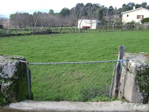 Assento