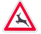 A19b - Animais selvagens