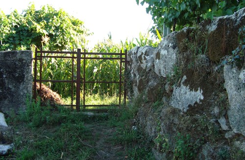 Soajo
