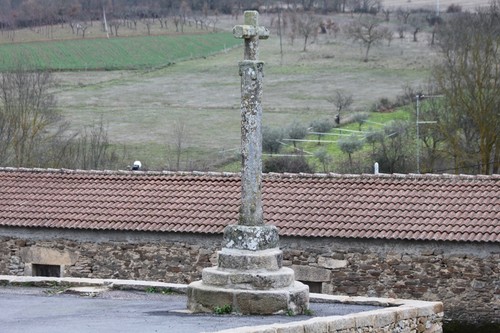 GENISIO - Miranda do Douro