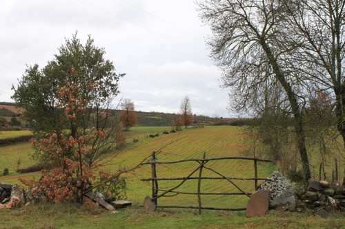 Águas Vivas
