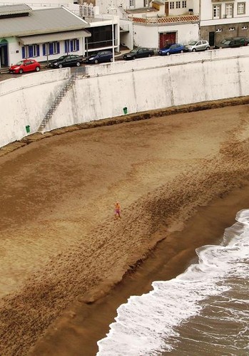 Esta manhã, um destemido passeante na Praínha...
