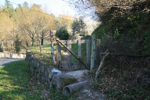 Frades