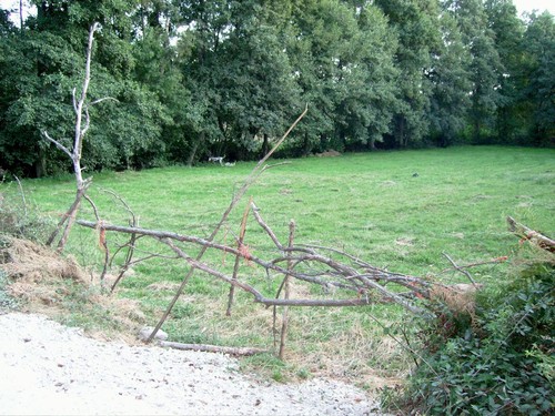 Granja