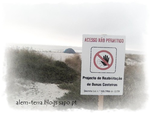 Dunas, Praia do Furadouro 11 de Julho de 2010