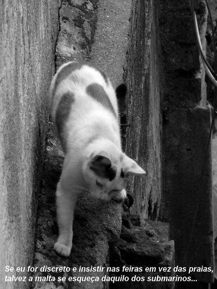 portas fechadas