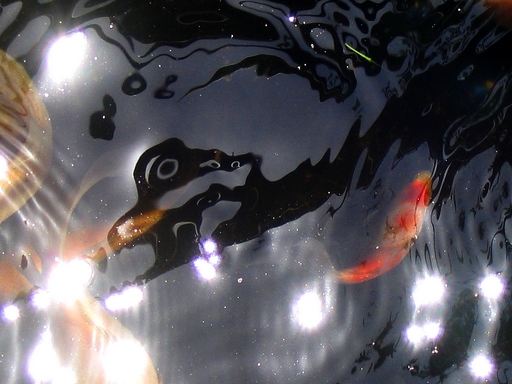 submarino laranja