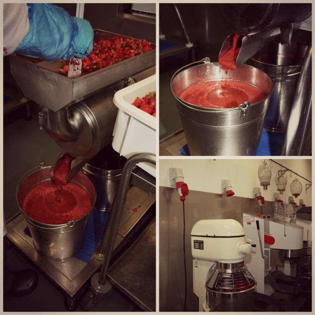 SantiniLab03