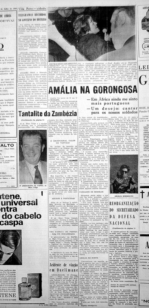 amalia-reportagem
