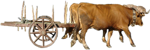 Carro de vacas