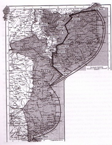 cardosomirao3.jpg