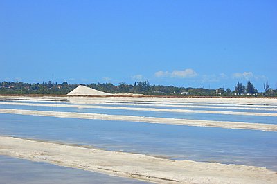 salinas-zacarias-2.jpg