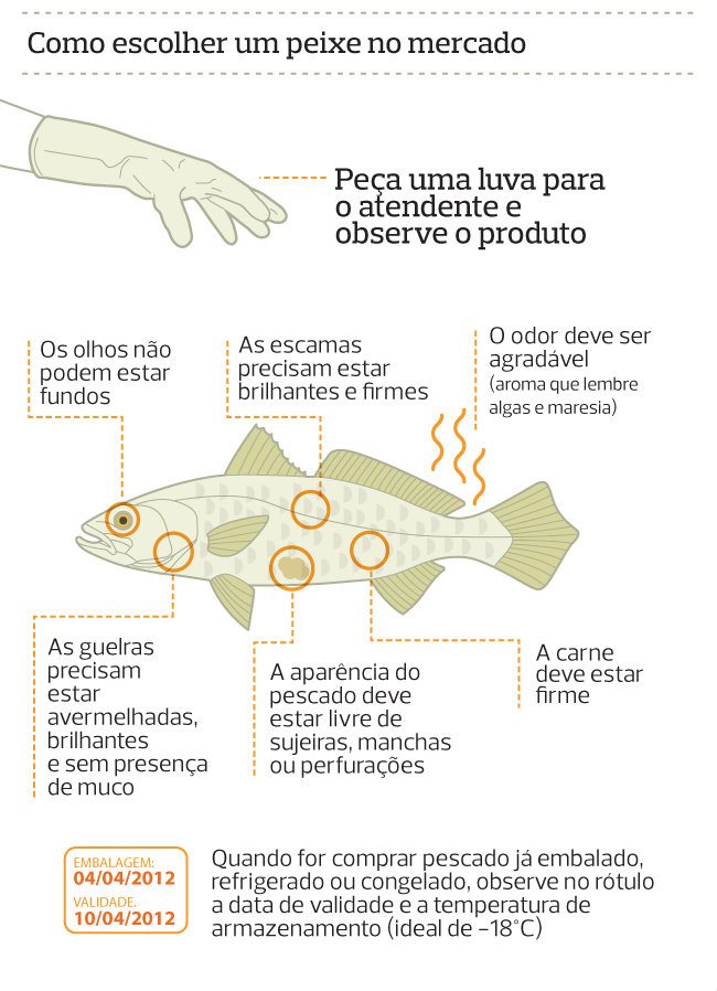escolher peixe mercado