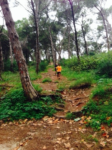 20131102-170850.jpg