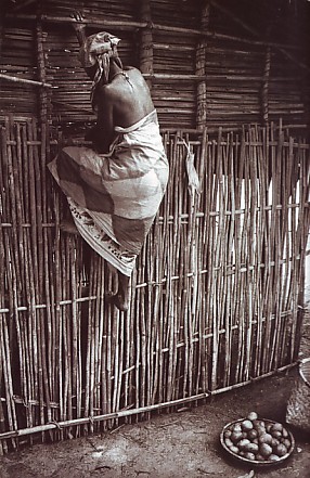 Sergio Niassa