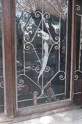 idasse-casa.jpg