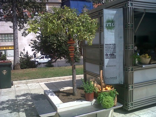 Os poetas II