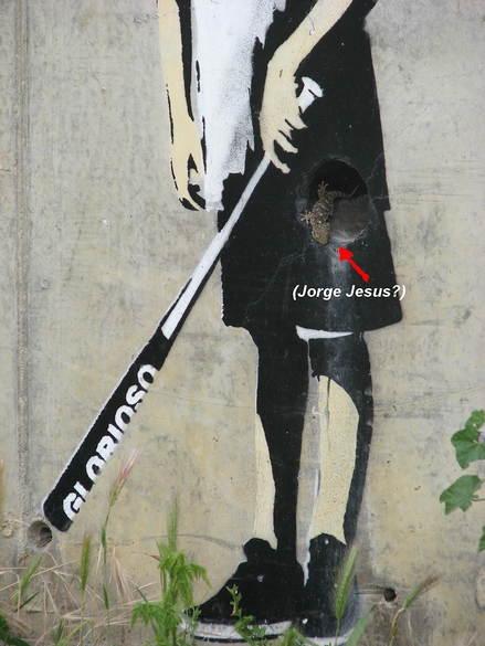 glorioso lagarto