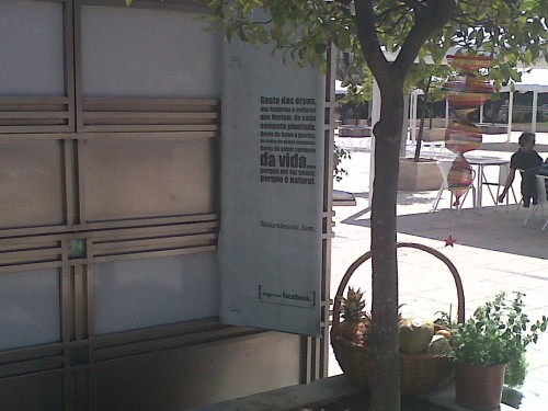 Os poetas I