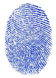 Fonte da imagem: http://www.sxc.hu/photo/227873